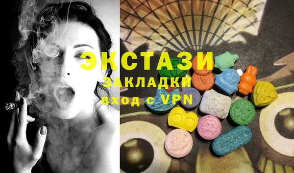 индика Каменка