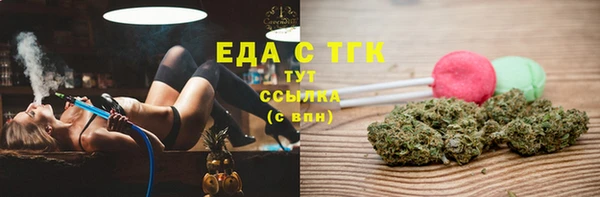 индика Каменка