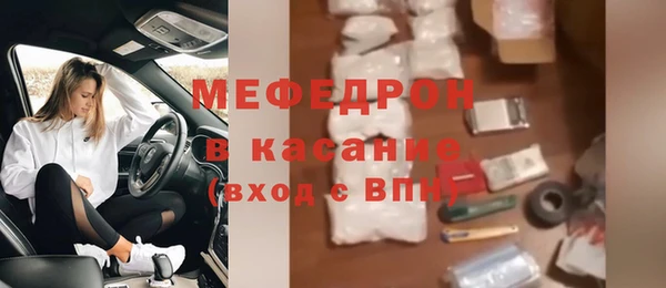 индика Каменка
