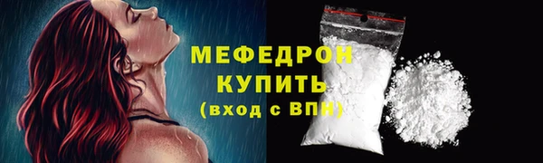 индика Каменка