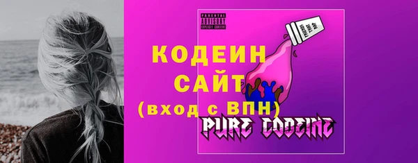 индика Каменка