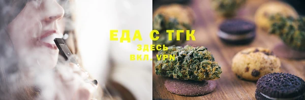 индика Каменка