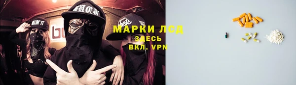 индика Каменка
