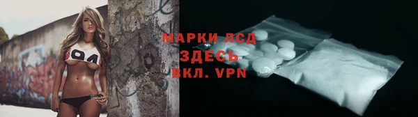 индика Каменка