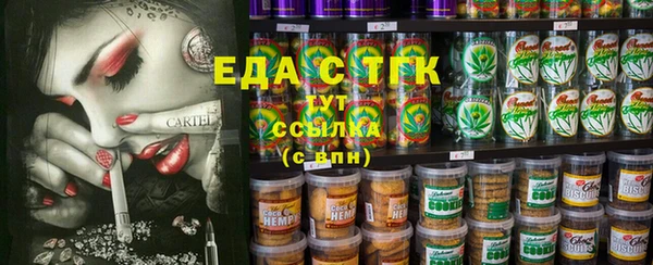 индика Каменка