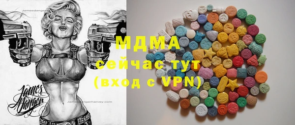 индика Каменка