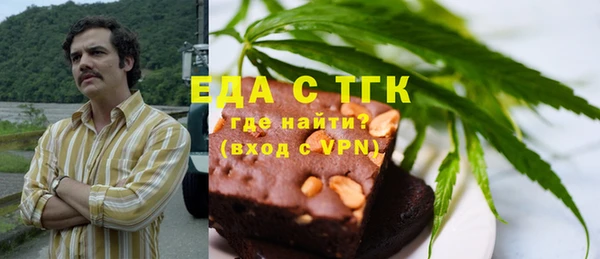 индика Каменка