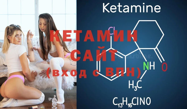 индика Каменка